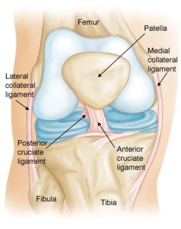 ACL Injury